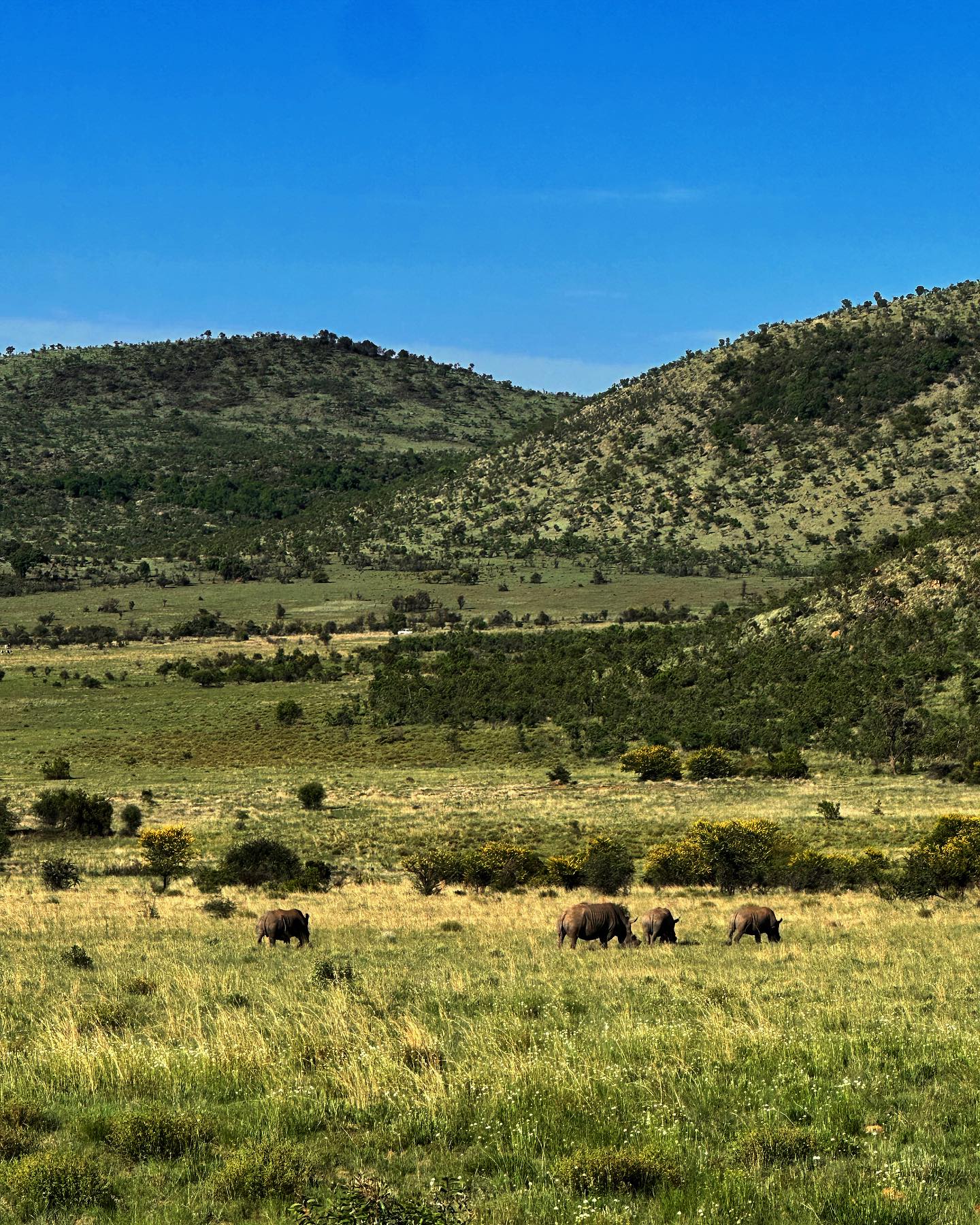 Zicht op Pilanesberg National Park