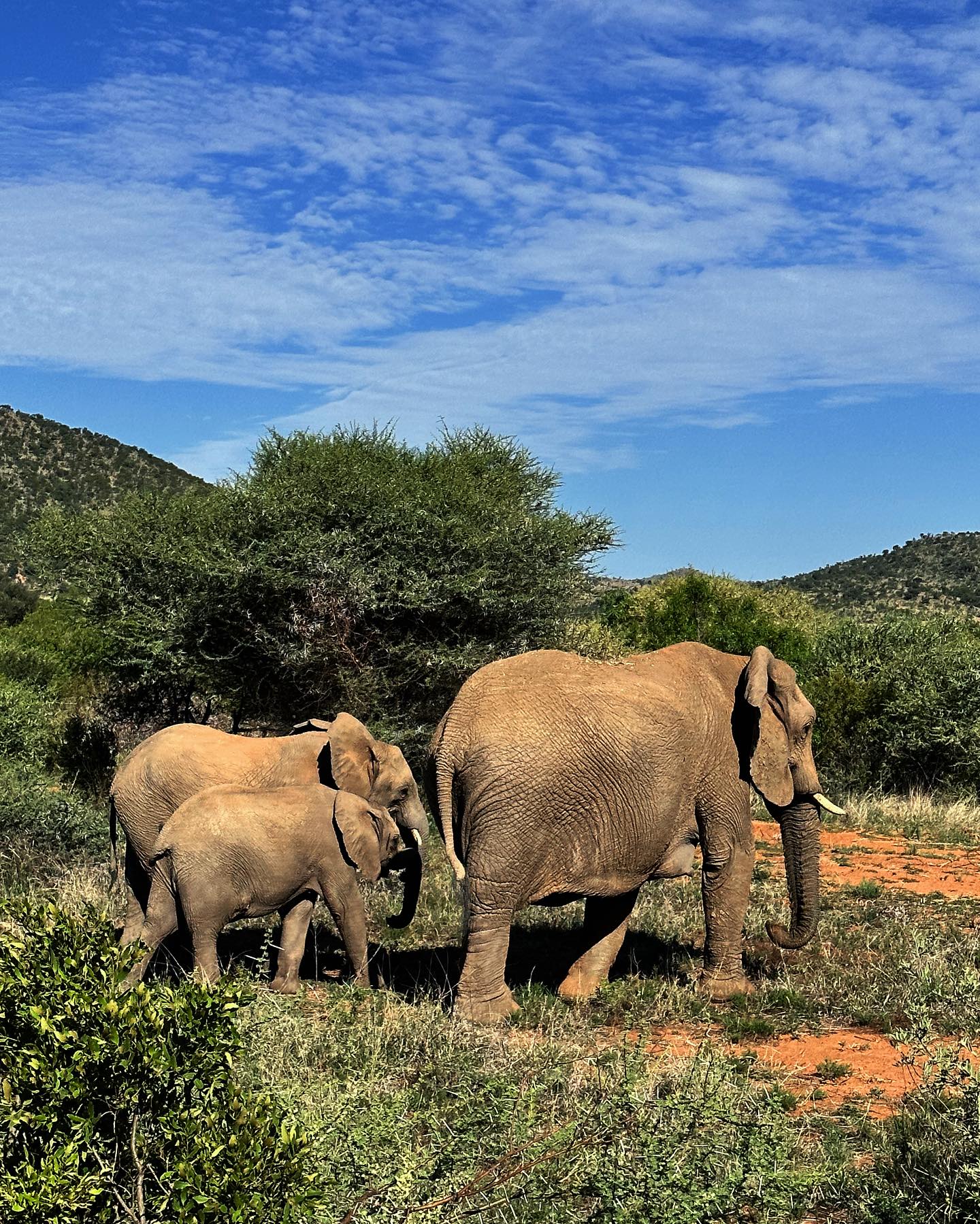 Zicht op Pilanesberg National Park