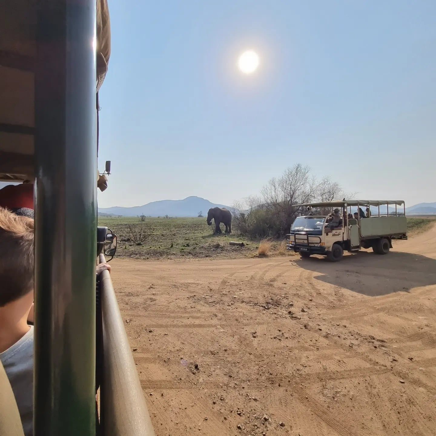 Besucherfoto einer Pilanesberg National Park-Tour